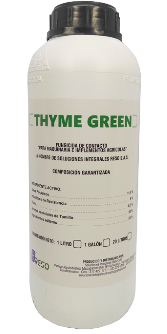 THYME GREEN